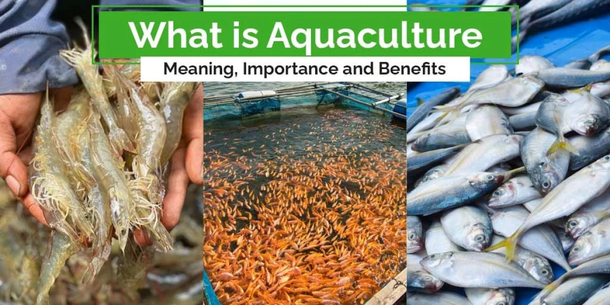Aquaculture in India: Types, Importance, and Benefits