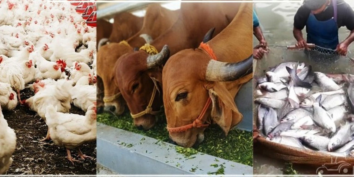 The Importance of Animal Husbandry and Its Types