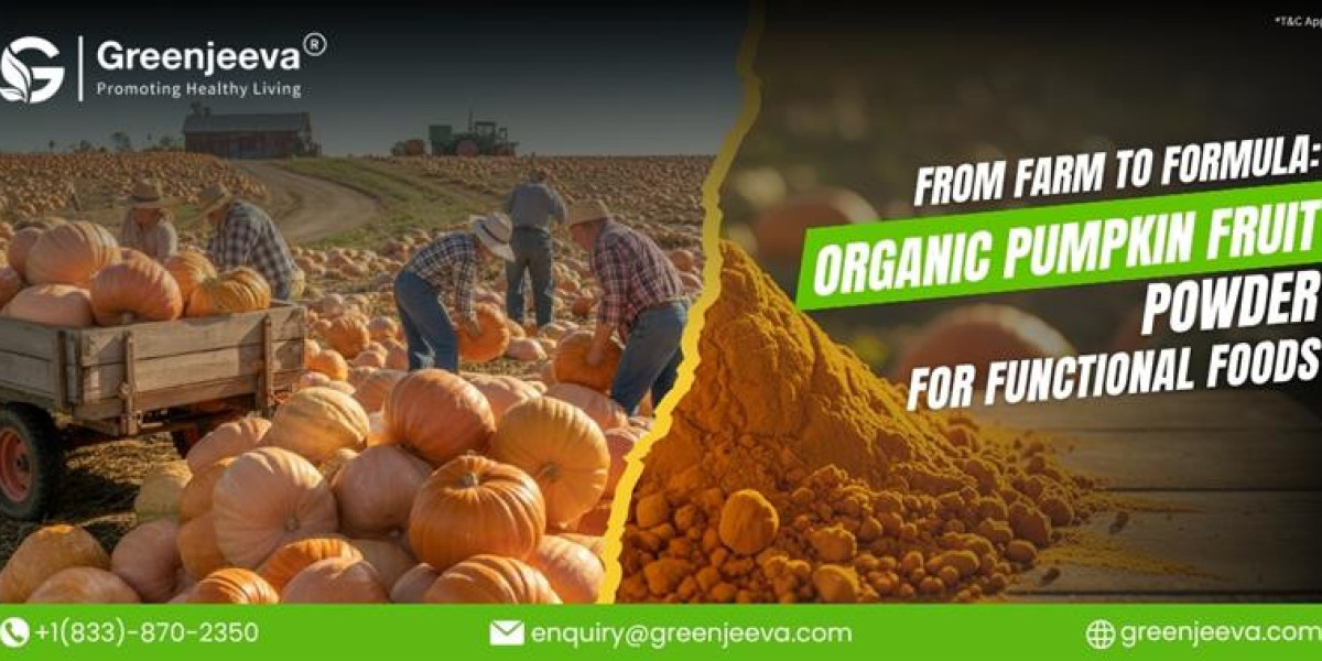 From Farm to Formula: How Organic Pumpkin Powder Powers Modern Functional Foods