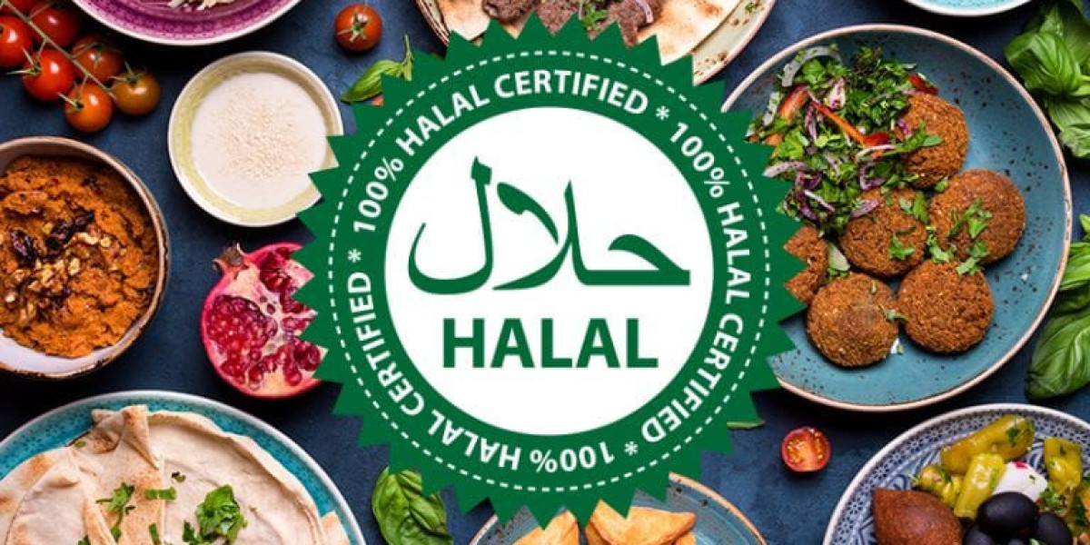 Introduction to Halal Doner Kabab