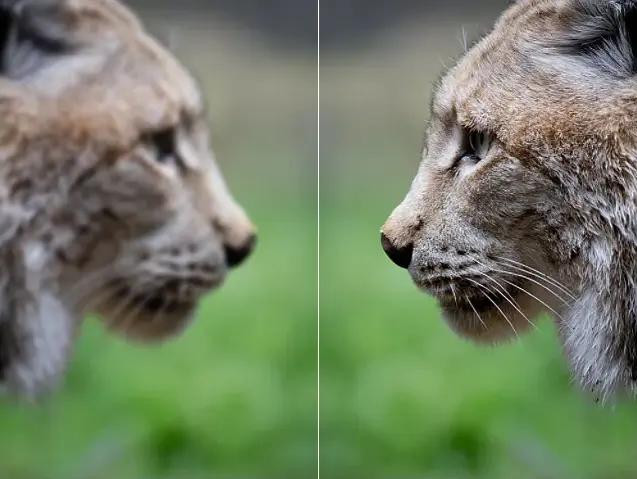 Enhance It Pro