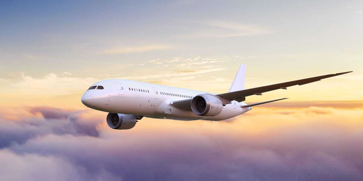Complete Guide to United Airlines Chicago Office in US