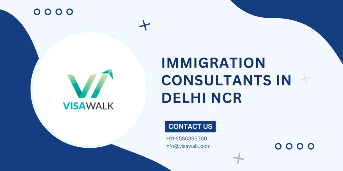 Visa Consultants in Delhi