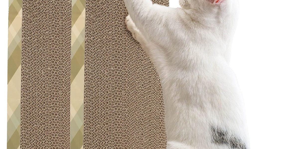 The Ultimate Guide to Keeping Your Cat Happy and Healthy