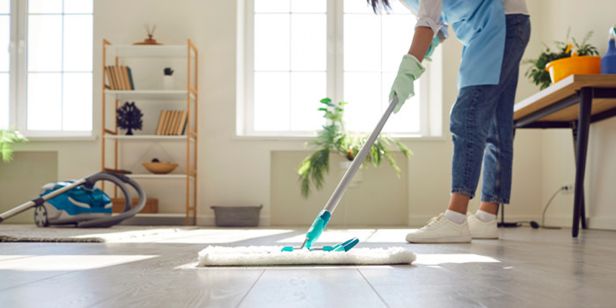 Light Housekeeping Services Tampa, FL