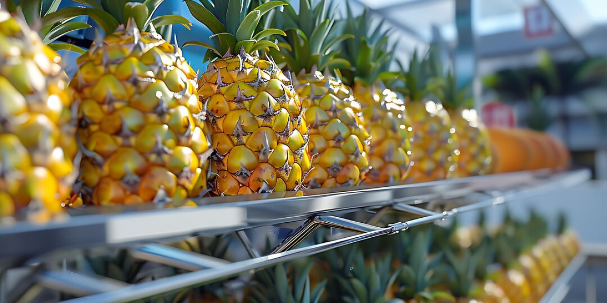 Bromelain Enzyme Manufacturing Report 2025: Feasibility Study, Plant Setup, and Profitability Insights