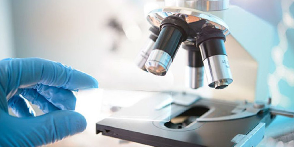 Laboratory Equipment Market: Comprehensive Trends, Drivers, Challenges & Future Outlook