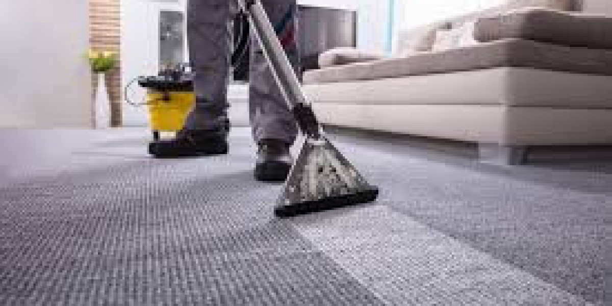 Carpet Cleaning Services That Work in Humid Climates
