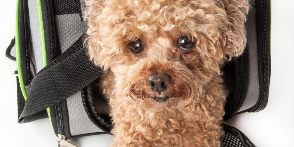 Choosing the Right Cage for a Small Dog for Comfort and Safety