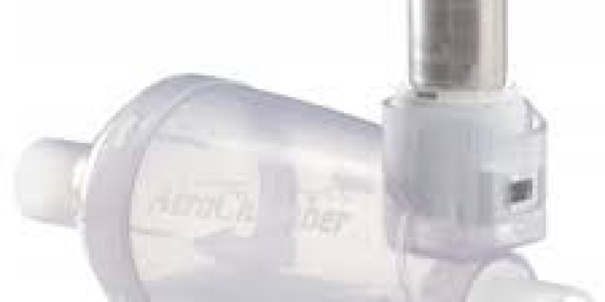 Asthma Spacers Market Experiences Rapid Growth Driven by Increasing Respiratory Disease Cases