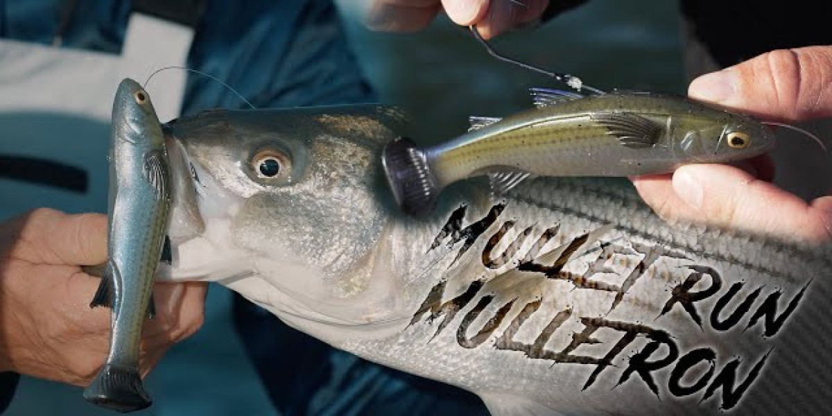 The Ultimate Guide to Mastering Mulletron Zman for Successful Fishing