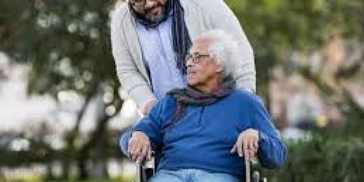 Elderly Care Market insights into regional variations and growth opportunities across continents globally