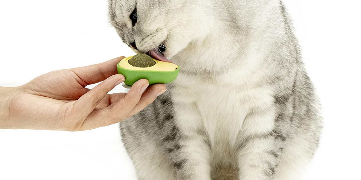Stress-Free Pet Cleaning Routine With Bubbitas Cat Toys