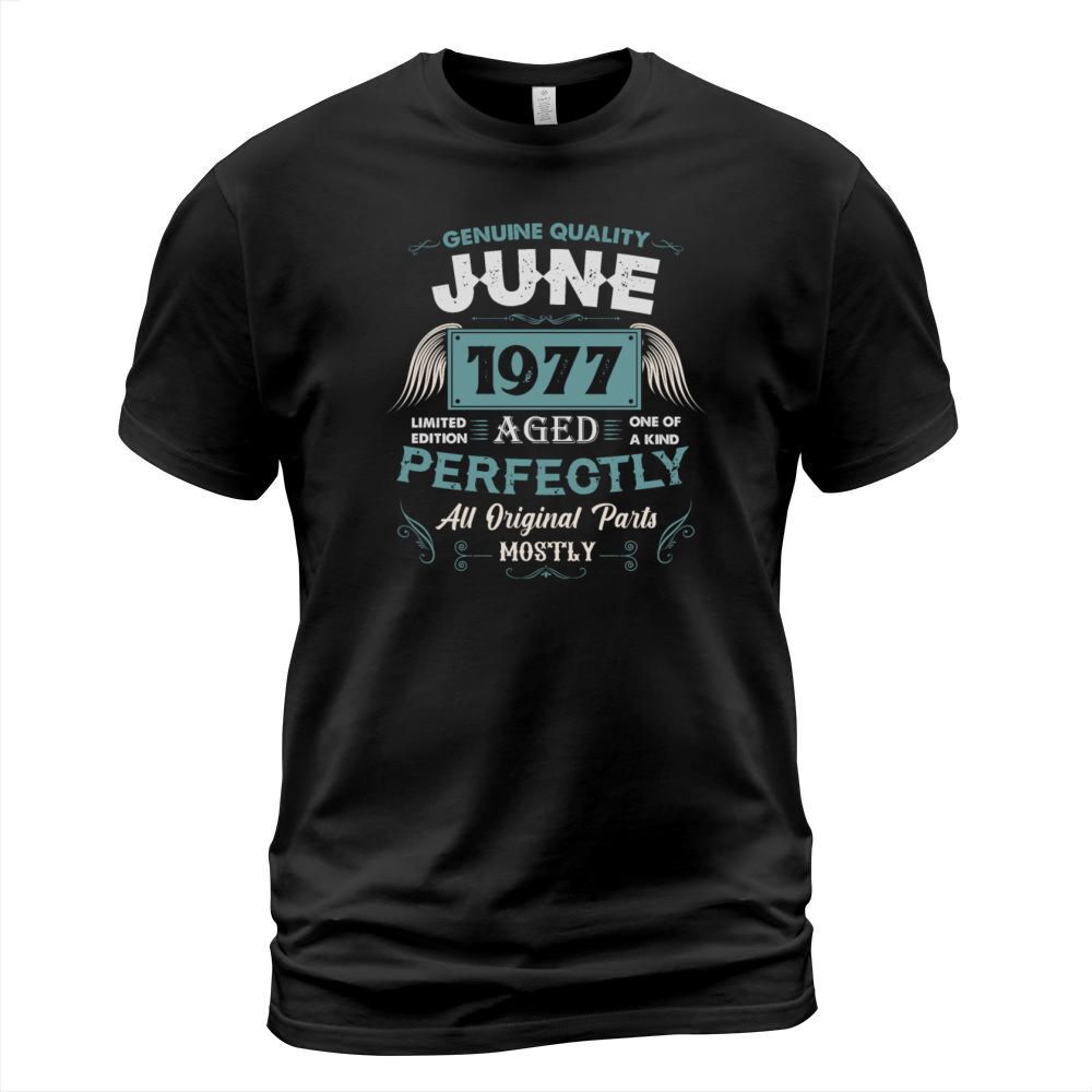 June 1977 Vintage Birthday Present T-Shirt Unisex