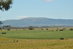 Excellent Cropping Grazing 450 Hectares Farm in Solis Canelones