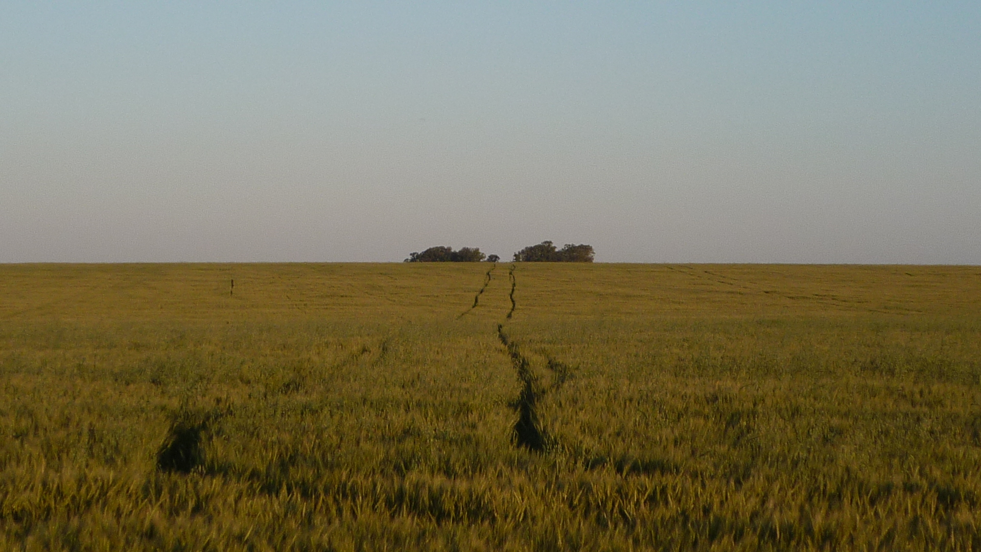 Best Cropping Land In San Jose Uruguay • Terramar Farmlands