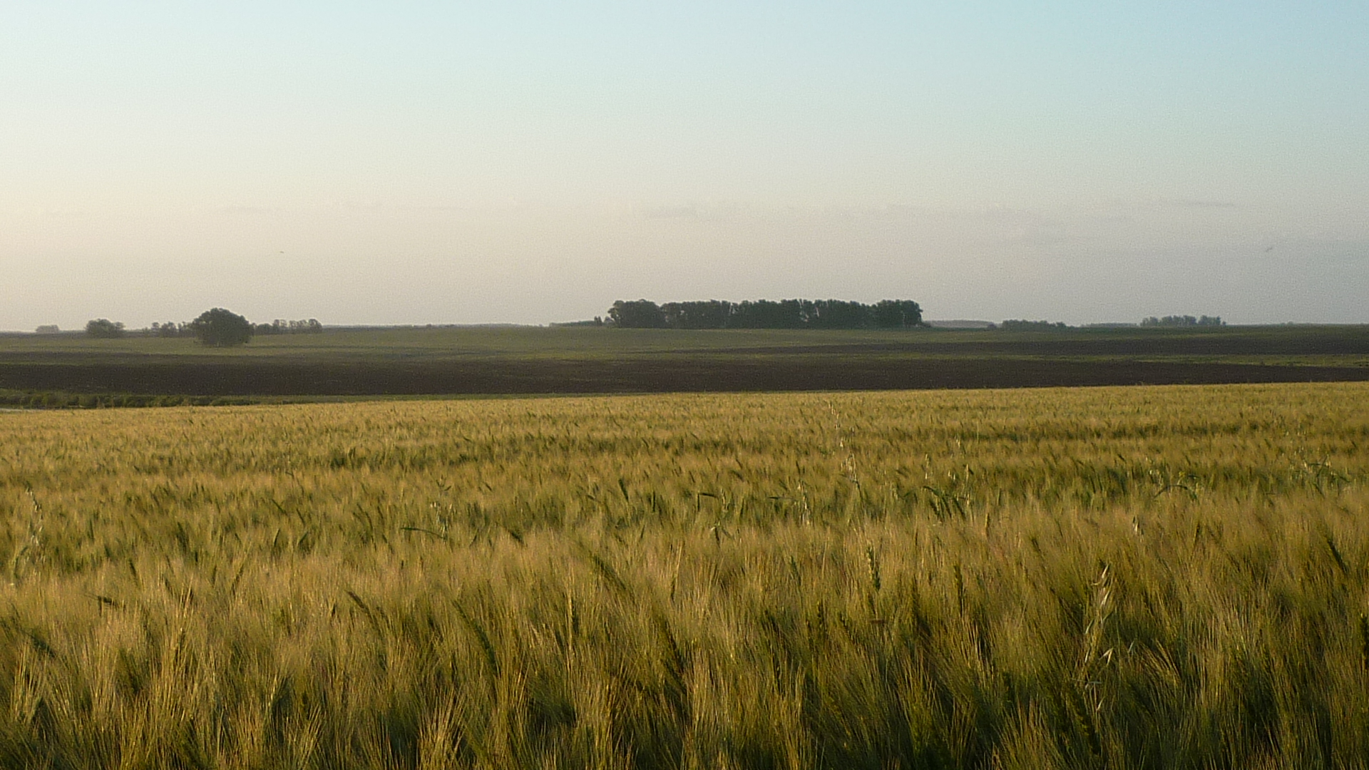 Best Cropping Land In San Jose Uruguay • Terramar Farmlands