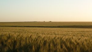 Best Cropping Land in Uruguay 85 hectares in San Jose Complete Farm