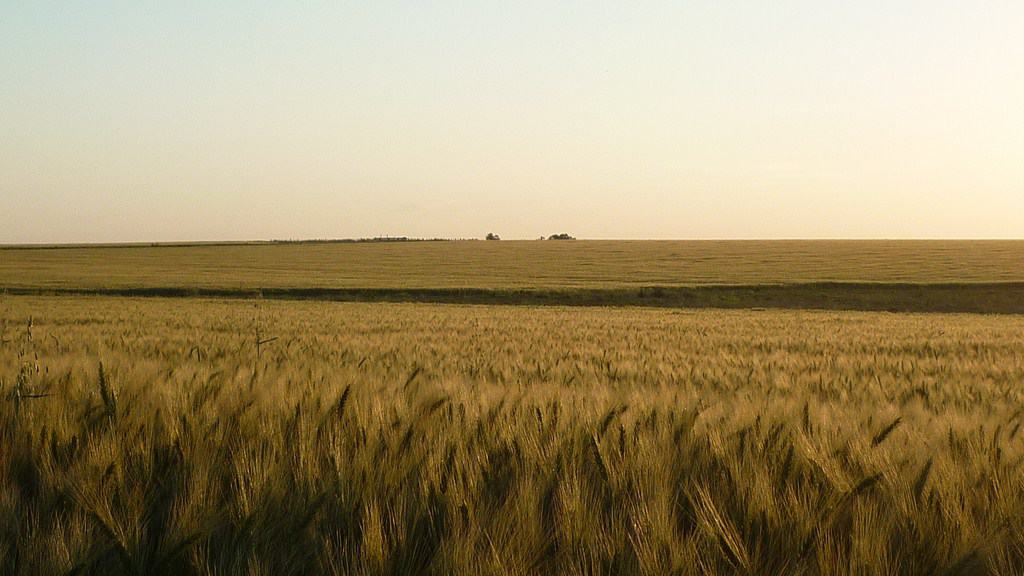 High Potential Cropping Grazing Farmland 960 Hectares Soriano Uruguay ...