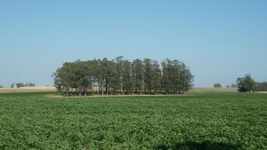 Crop & Lifestyle 138 Hectares Farmland Minutes From the Ocean at Garzon