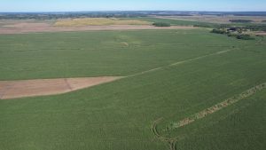 Unique Investment Opportunity in Paraguay: 2508 Hectares Prime Cropping Farmland
