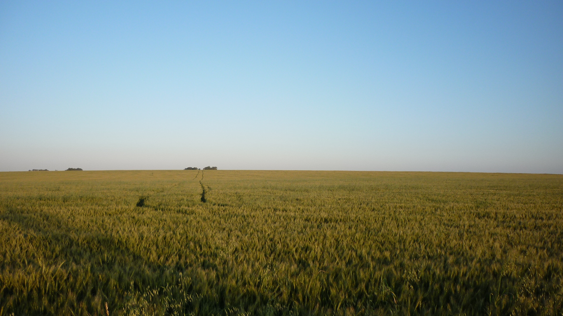 Premium Cropping Farmland 1150 Hectares Southern Uruguay