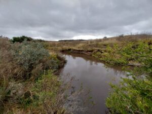 Scenic 30 Hectares Lifestyle Land in Solis