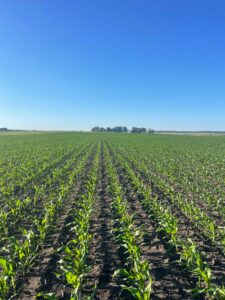 Outstanding 3670 Hectares Mixed Use Farmland