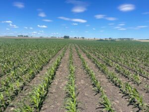 Prime Cropping Farm 2400 Hectares in Rio Negro