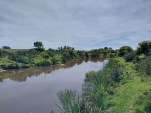 Lifestyle 70 Hectares Farmland Minutes From Jose Ignacio and the Ocean