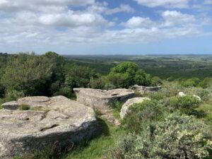 Spectacular 155-Hectare Property Just Minutes from Pueblo Garzón