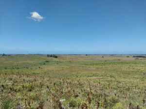 873 Hectares Unique Land in the Garzón – José Ignacio Corridor