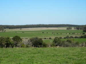 Prime 227 Hectares Land in Garzon