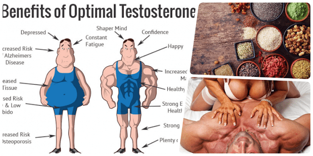 does testosterone affect how long you live