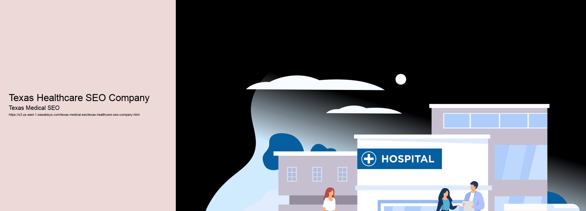 Texas Healthcare SEO Company
