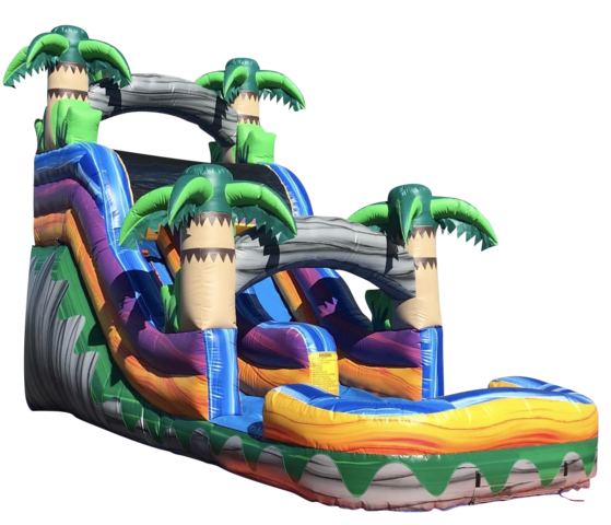 Combo Bounce House Rentals In Chicago