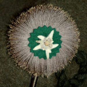 Bavarian hat rad'l pin of genuine deer hair  with real pressed Edelweiss flower centre.