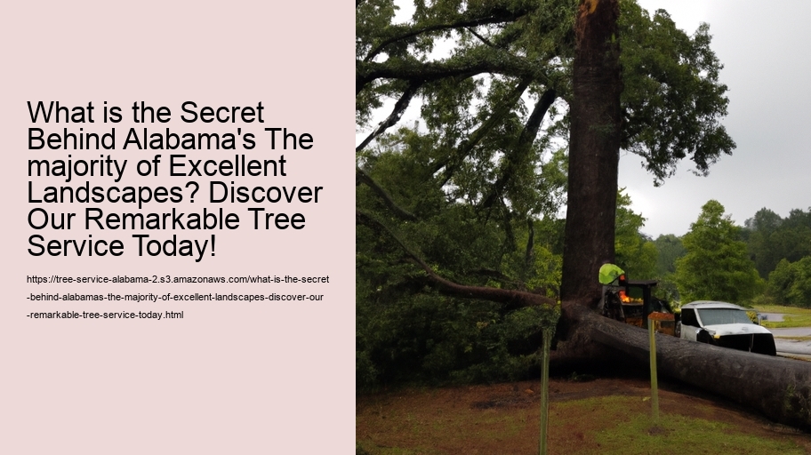 What is the Secret Behind Alabama's The majority of Excellent Landscapes? Discover Our Remarkable Tree Service Today!