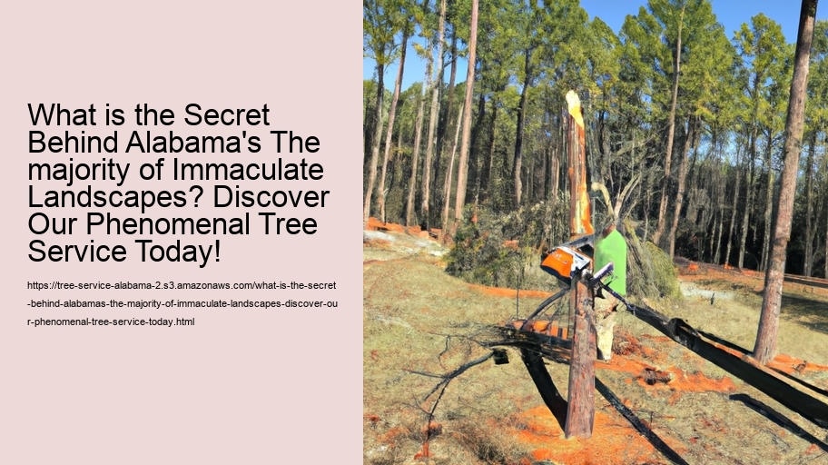 What is the Secret Behind Alabama's The majority of Immaculate Landscapes? Discover Our Phenomenal Tree Service Today!