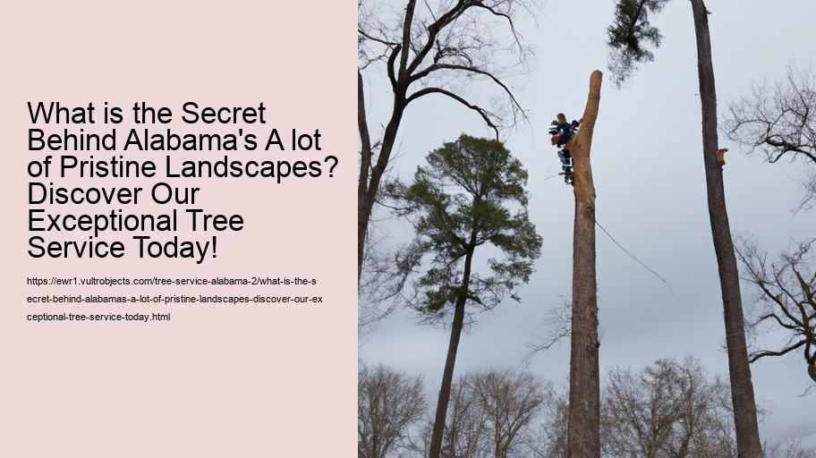 What is the Secret Behind Alabama's A lot of Pristine Landscapes? Discover Our Exceptional Tree Service Today!