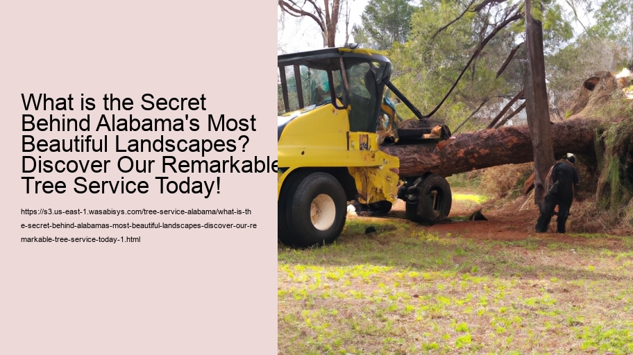 What is the Secret Behind Alabama's Most Beautiful Landscapes? Discover Our Remarkable Tree Service Today!
