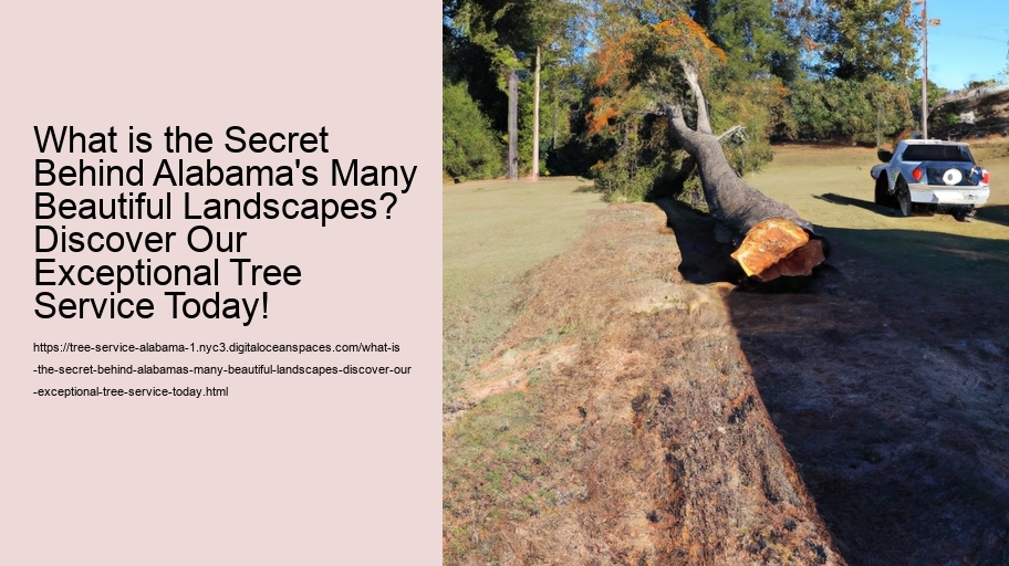 What is the Secret Behind Alabama's Many Beautiful Landscapes? Discover Our Exceptional Tree Service Today!