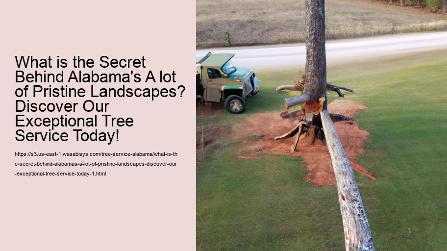 What is the Secret Behind Alabama's A lot of Pristine Landscapes? Discover Our Exceptional Tree Service Today!