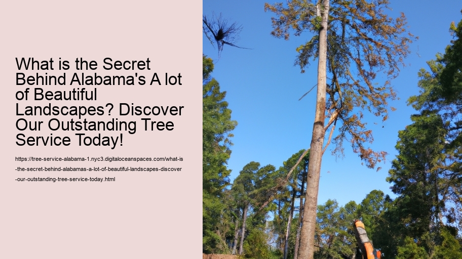 What is the Secret Behind Alabama's A lot of Beautiful Landscapes? Discover Our Outstanding Tree Service Today!
