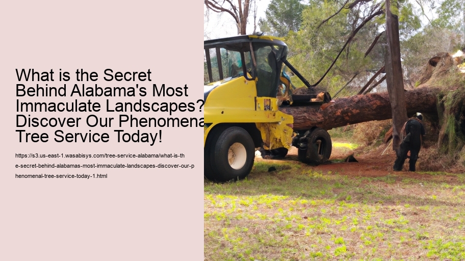 What is the Secret Behind Alabama's Most Immaculate Landscapes? Discover Our Phenomenal Tree Service Today!