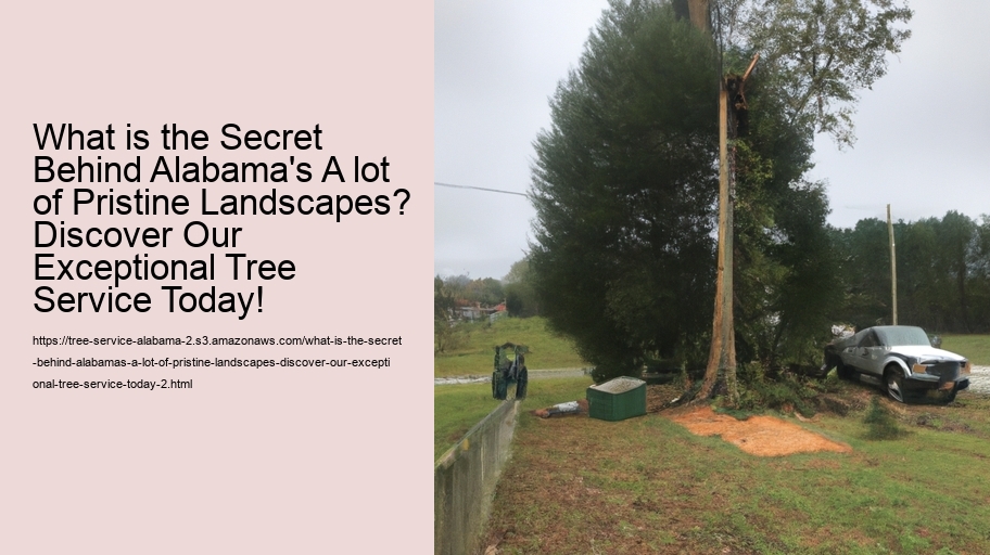 What is the Secret Behind Alabama's A lot of Pristine Landscapes? Discover Our Exceptional Tree Service Today!