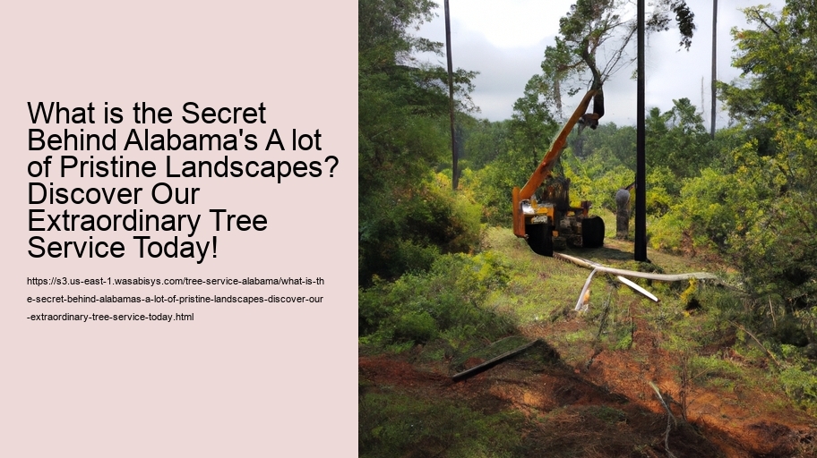 What is the Secret Behind Alabama's A lot of Pristine Landscapes? Discover Our Extraordinary Tree Service Today!