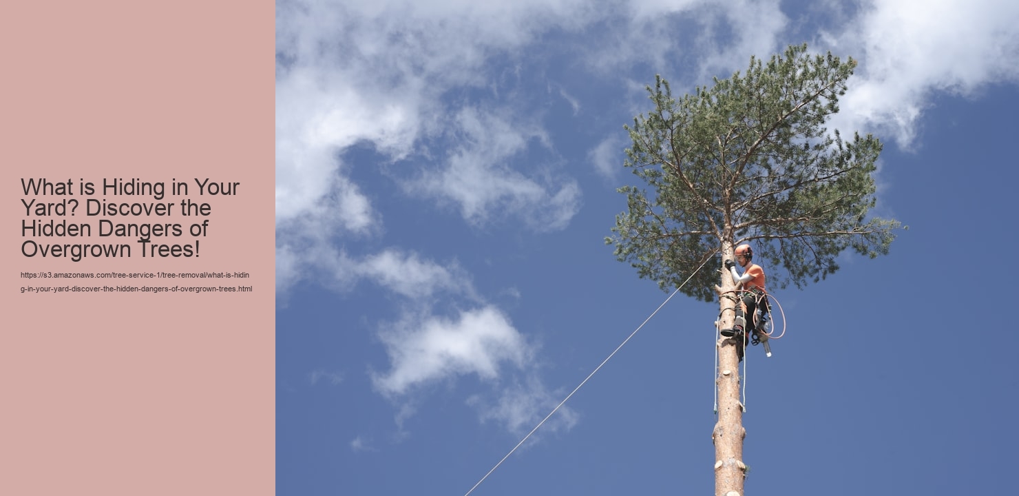 What is Hiding in Your Yard? Discover the Hidden Dangers of Overgrown Trees!
