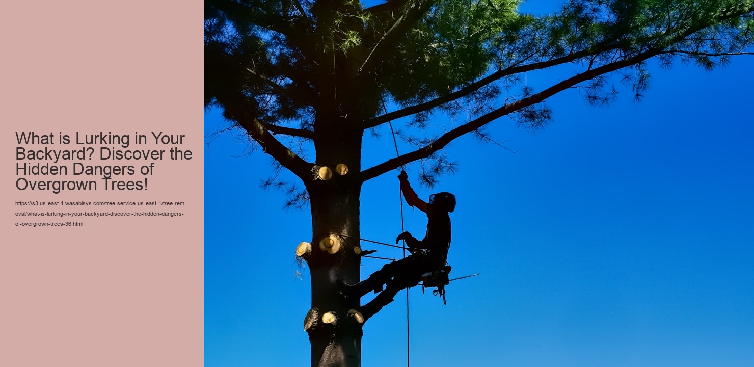 What is Lurking in Your Backyard? Discover the Hidden Dangers of Overgrown Trees!
