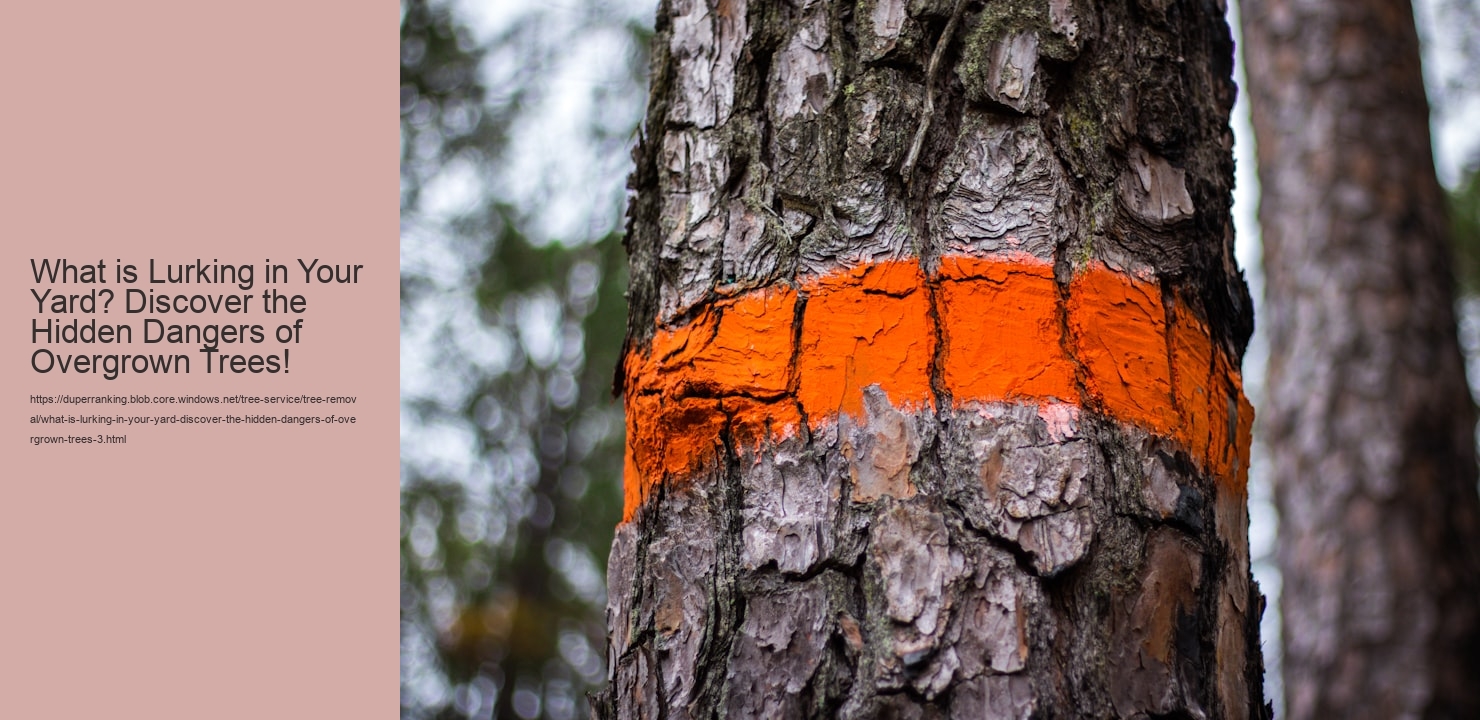 What is Lurking in Your Yard? Discover the Hidden Dangers of Overgrown Trees!